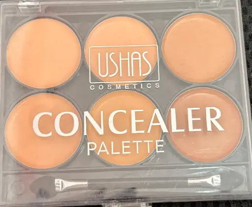 PALETA CORRECTORES  CONTORNOS 6  CREMOSO CONCEALER 10.5G